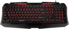 Tastatura Gaming Tracer HellWay (Negru) foto