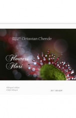 Flowers. Flori- Octavian Chende foto