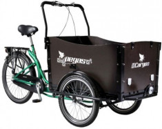 Bicicleta Pegas Cargo Adult 26x20, Roti 26inch, 3 Viteze (Verde) foto