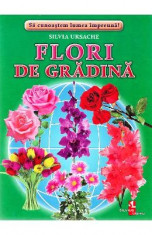 Flori de gradina - Cartonase - Silvia Ursache foto