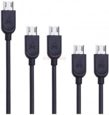 Set 5 cabluri Avantree CGUS-SET-13-BLK, MicroUSB, 0.35m/0.35m/1m/1m/2m (Negru) foto