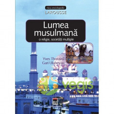 Lumea musulmana - O religie, societati multiple - Yves Thoraval foto