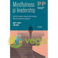 Mindfulness si leaderschip - Matt Tenney, Tim Gard foto
