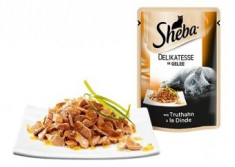 Sheba plic 85g Curcan foto