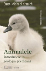 Animalele: Introducere in zoologia goetheana - Ernst-Michael Kranich foto