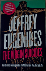 Jeffrey Eugenides - The Virgin Suicides foto