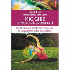 Mic Ghid De Medicina Energetica - Donna Eden, Dondi Dahlin foto