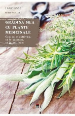 Gradina mea cu plante medicinale - Serge Schall foto