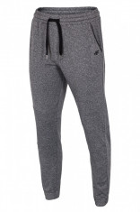 Pantalon trening barbatesc 4f Grey foto