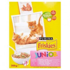 Friskies Junior 300g Hrana Uscata Pisici foto