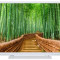 Televizor LED Toshiba 80 cm (32inch) 32W1764DG, HD Ready, CI+