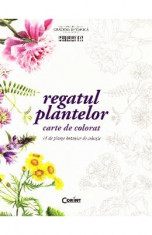 Regatul plantelor - Carte de colorat foto