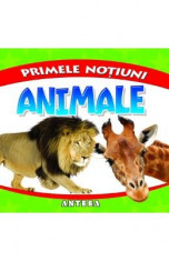 Primele notiuni: Animale foto