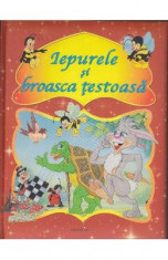 Iepurele si broasca testoasa foto