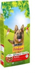 Friskies Dry 10kg Active foto