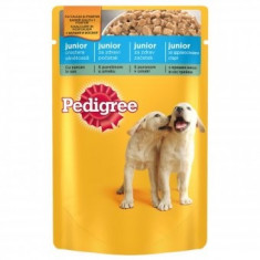 Pedigree plic 100g Junior foto