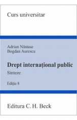 Drept international public. Sinteze - Adrian Nastase, Bogdan Aurescu foto