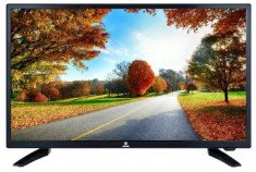 Televizor LED Orion 61 cm (24inch) T24/D/PIF/LED, Full HD, CI foto