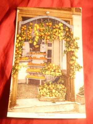 Ilustrata color Ed. Emil Brunner - Magazin de Fructe , interbelica foto