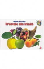 Fructele din livada - Silvia Ursache foto