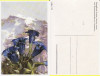 Ilustrata Germania- Flori, Necirculata, Printata