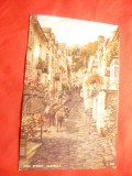Ilustrata Str.Clovelly- High Street , cu magarus ,color , anii &#039;50
