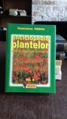 ENCICLOPEDIA PLANTELOR - CONSTANTIN PARVU VOL.II foto