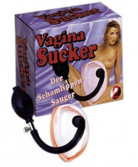 Pompa Clitoris Vagina Sucker foto