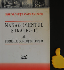 Managementul strategic al firmei de comert si turism Gheorghita Caprarescu foto