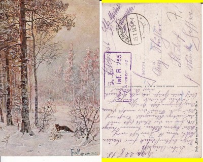 Ilustrata-tema vanatoare, animale -ilustratori-cenzura WWI, WK1 foto