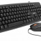 Kit Tastatura si Mouse Spacer SPDS-S6201, USB (Negru)