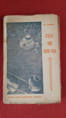 George Cosbuc - Ziarul Unui Pierde Vara - Versuri - Editia 1, 1920 foto