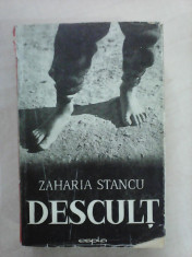 Descult - ZAHARIA STANCU foto