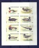 GUINEA ECUATORIALA 1978 &ndash; RATE SI GASTE SALBATICE, BLOC MNH NDT, TR60/C27, Nestampilat