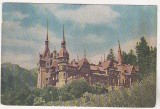 Bnk cp Sinaia - Muzeul Peles - circulata - circulata, Printata