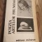 poezia artelor frumoase Rd
