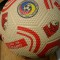 Minge Fotbal Dinamo Bucuresti