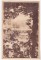 Foto  - 1