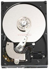 HDD Server Dell 2TB, SATA II, 7200rpm, 3.5inch, pentru PowerEdge R210 II, PowerEdge T110, PowerEdge T110 II, PowerEdge T20 si PowerEdge T300 foto