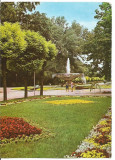 (A)carte postala(marca fixa)-GALATI-Vedere din parc, Necirculata, Fotografie