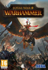 Total War: Warhammer (PC) foto