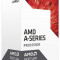 Procesor AMD A10 9700E, 3.0 GHz, AM4, 2MB, 35W (BOX)