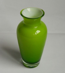 Vaza sticla verde foto