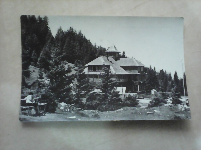 C.P - Masivul Rarau , Cabana Rarau , circulata 1965 foto mare C.P - Masivul Rarau , Cabana Rarau , circulata 1965 foto mare