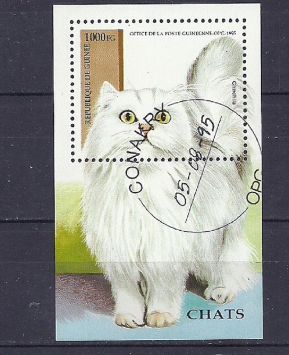 GUINEA 1995 ? PISICI DE COMPANIE, colita stampilata TR119 GUINEA 1995 ? PISICI DE COMPANIE, colita stampilata TR119