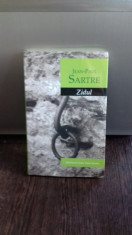 ZIDUL - JEAN PAUL SARTRE foto