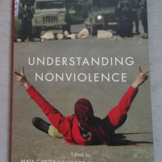 Understanding nonviolence /​ Eds. Maia Carter Hallward and Julie M. Norman.