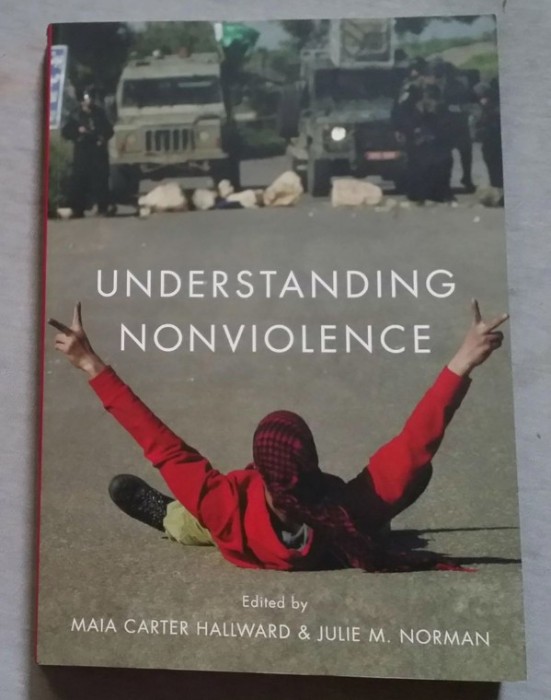Understanding nonviolence / Eds. Maia Carter Hallward and Julie M. Norman. foto mare Understanding nonviolence / Eds. Maia Carter Hallward and Julie M. Norman. foto mare