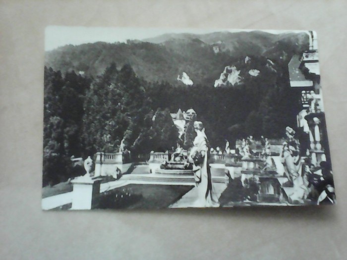 C.P - Sinaia , Terasa Muzeului Peles , necirculata foto mare C.P - Sinaia , Terasa Muzeului Peles , necirculata foto mare