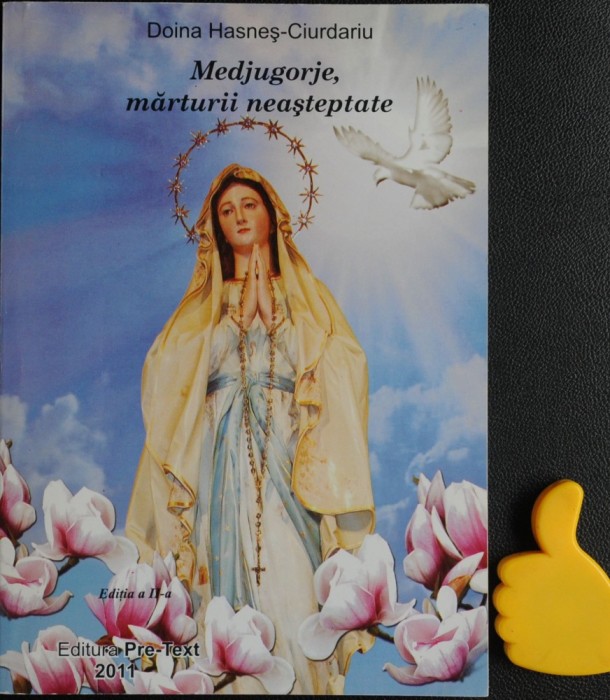 Medjugorje Marturii Neasteptate Doina Hasnes-Ciurdariu